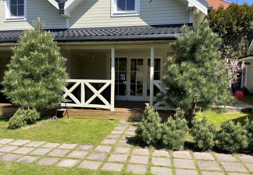 Domki JAMAJKA i apartament MAKS Międzywodzie 71