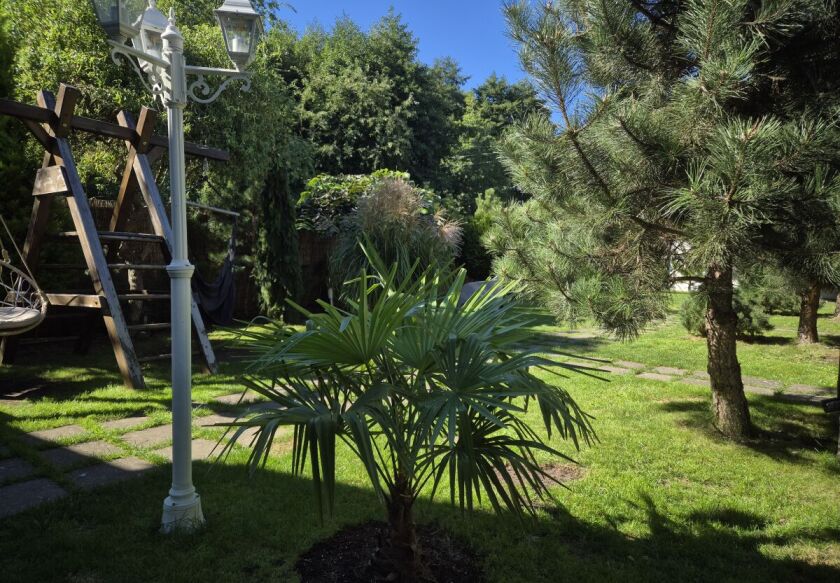 Domki JAMAJKA i apartament MAKS Międzywodzie 82