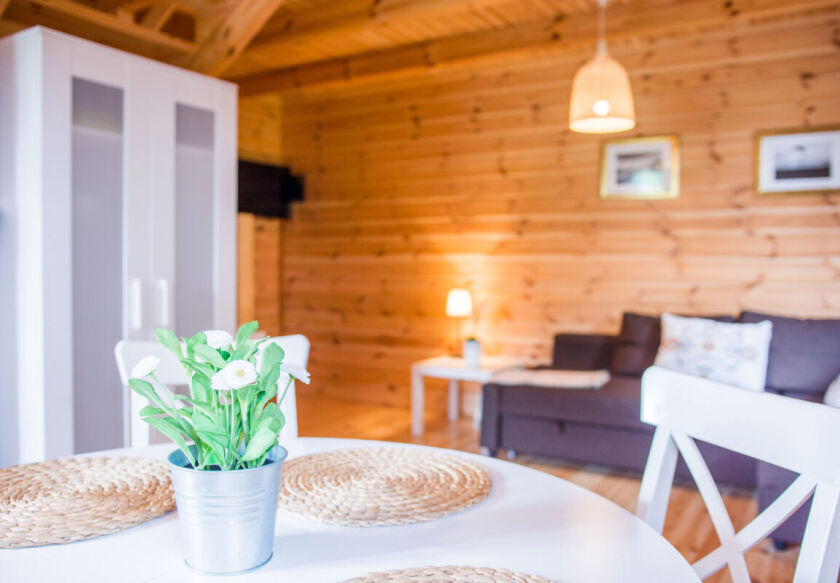 Domki letniskowa SOSNOWO 17