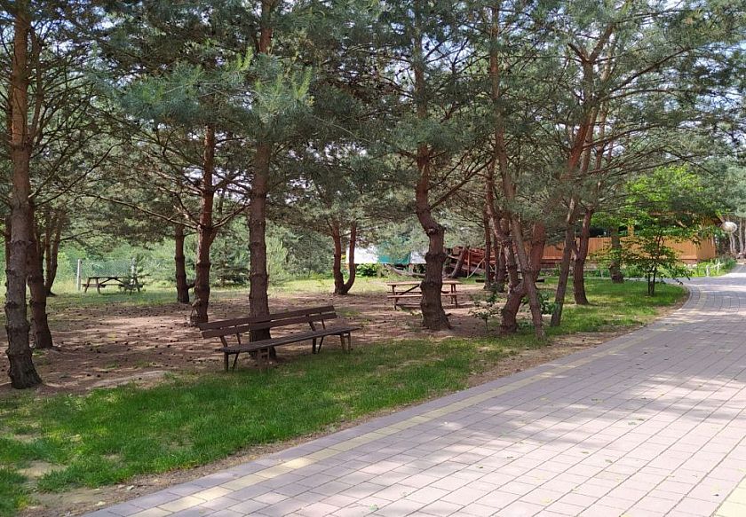 leśny teren ośrodka