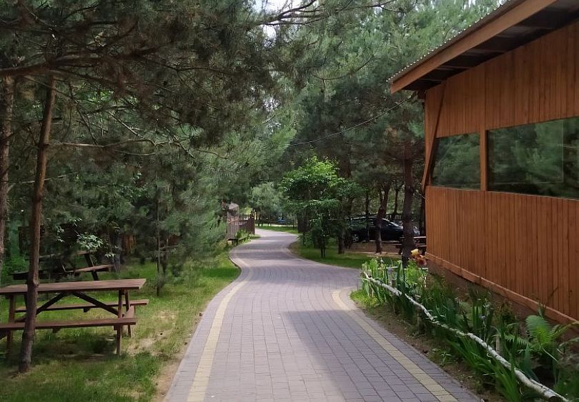 leśny teren z " Leśną Chatą"