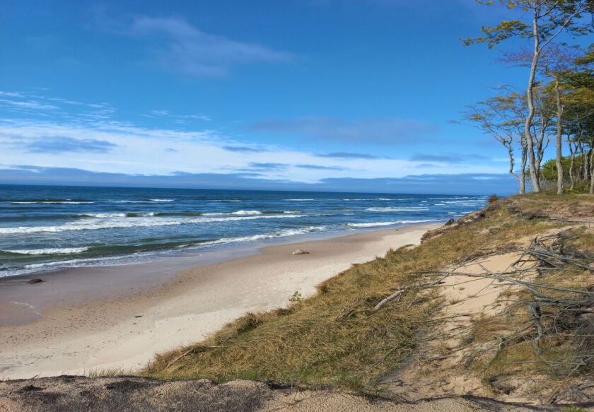 Domki letniskowe  11