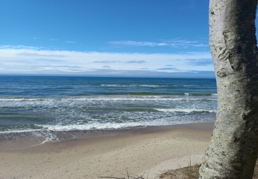 Domki letniskowe  12