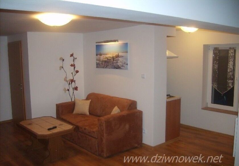 Domki letniskowe i Pokoje gościnne "Jask&oacute;łcze Gniazdo" 26