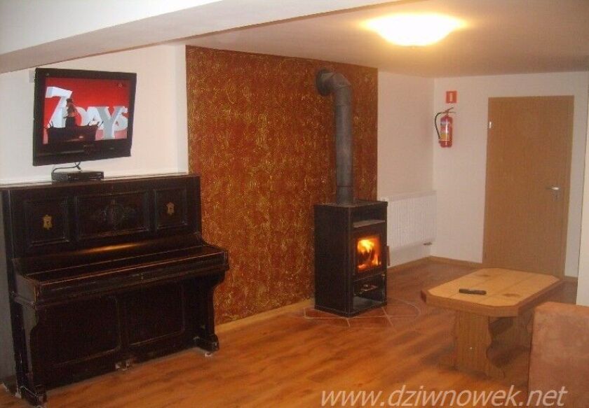 Domki letniskowe i Pokoje gościnne "Jask&oacute;łcze Gniazdo" 27