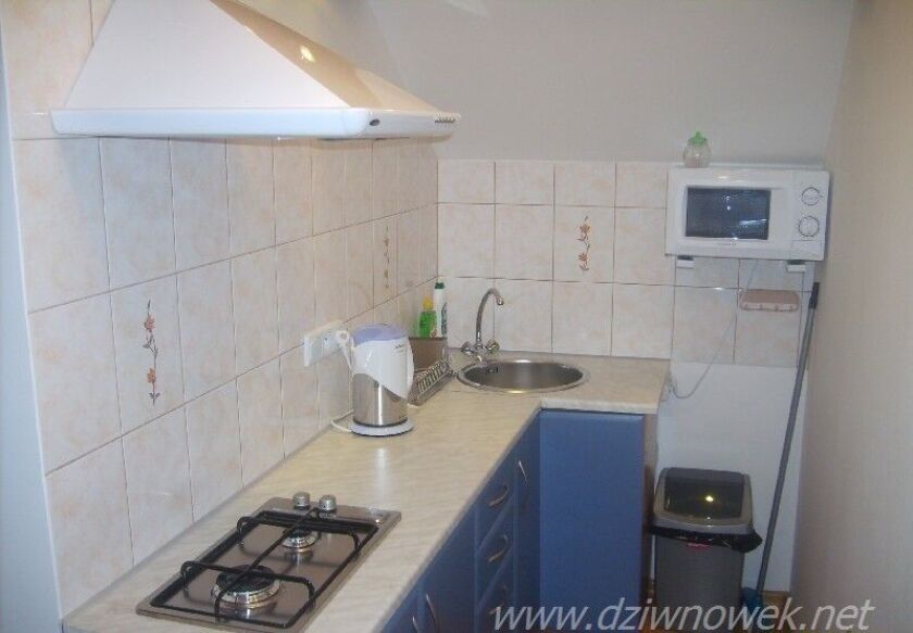 Domki letniskowe i Pokoje gościnne "Jask&oacute;łcze Gniazdo" 28