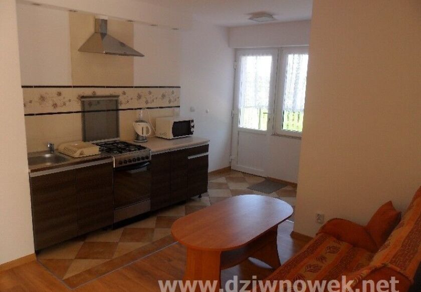 Domki letniskowe i Pokoje gościnne "Jask&oacute;łcze Gniazdo" 41