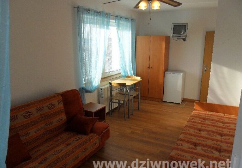 Domki letniskowe i Pokoje gościnne "Jask&oacute;łcze Gniazdo" 45