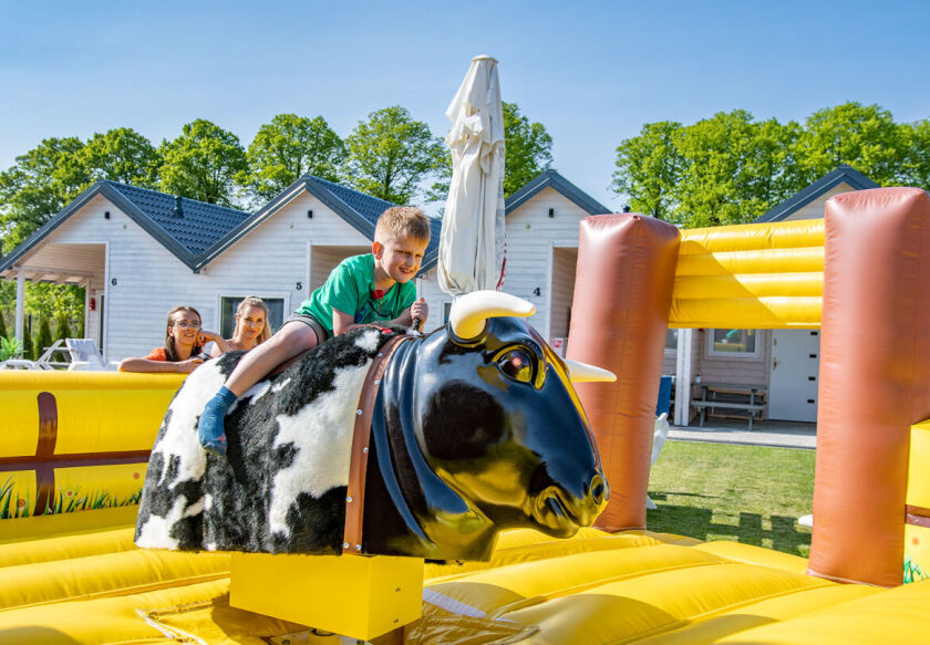 Domki Letniskowe Morska Lilia 13