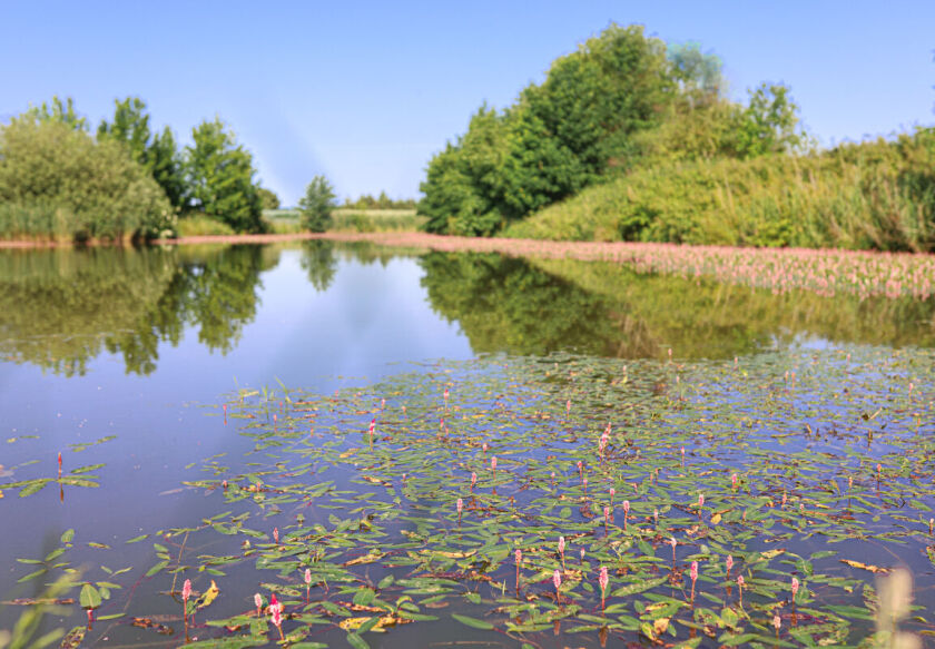 Domki Letniskowe z łowiskiem 9