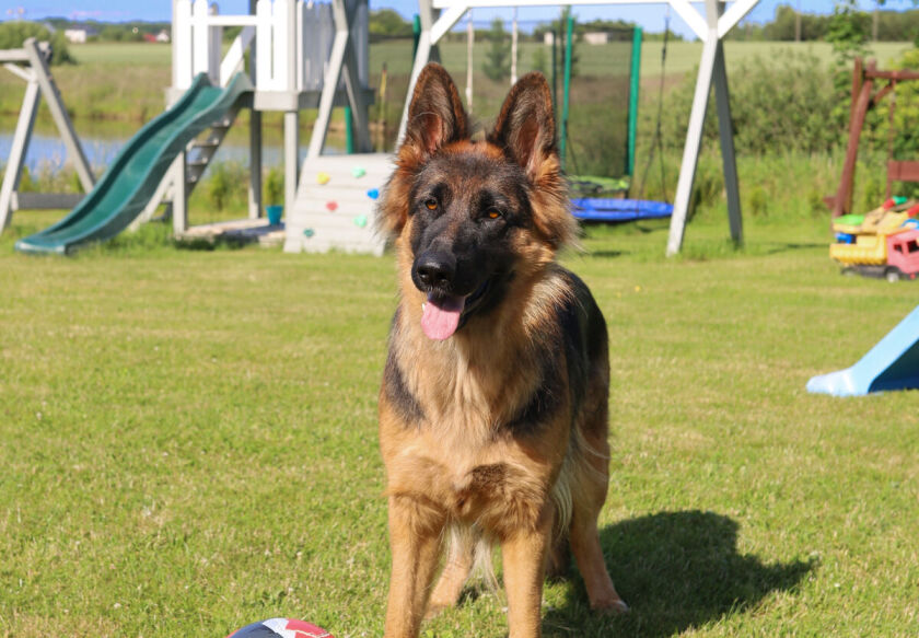 Domki Letniskowe z łowiskiem 18