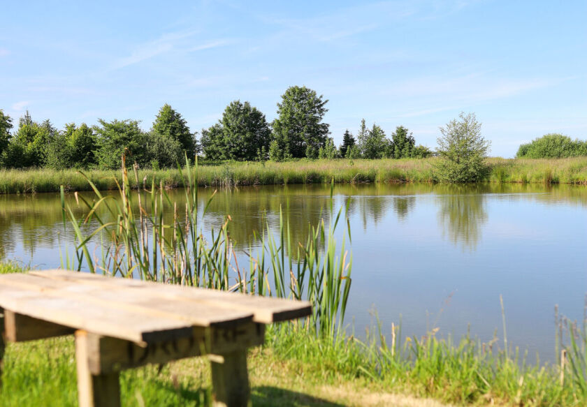 Domki Letniskowe z łowiskiem 2