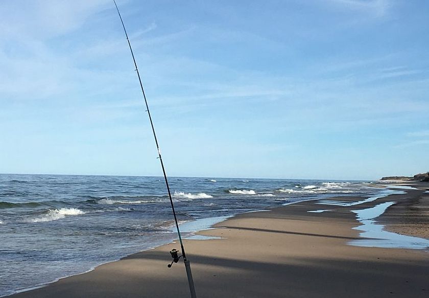 Domki Morska Dębina 15