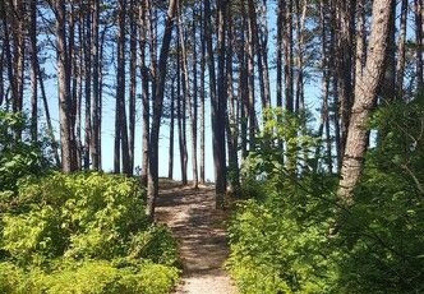 Domki Morskie Piaski 16