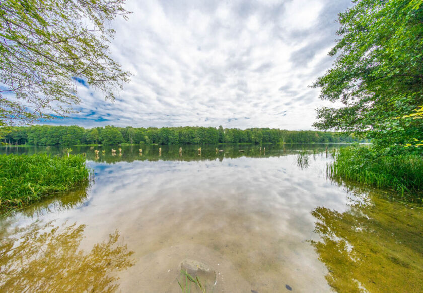 Domki nad Rozlewiskiem 45