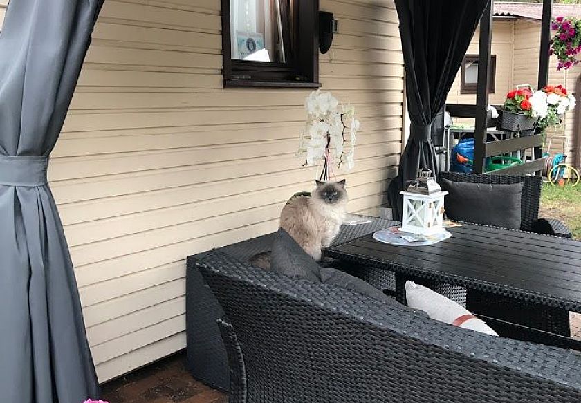 Domki Promyk Mrzeżyno 11