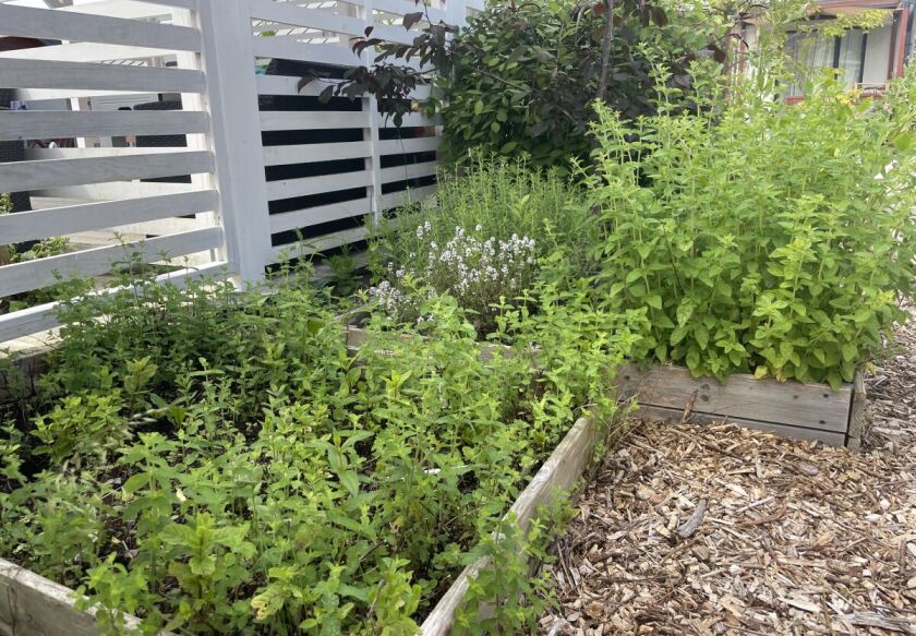 Domki Wczasowe Wśr&oacute;d Jabłoni  17