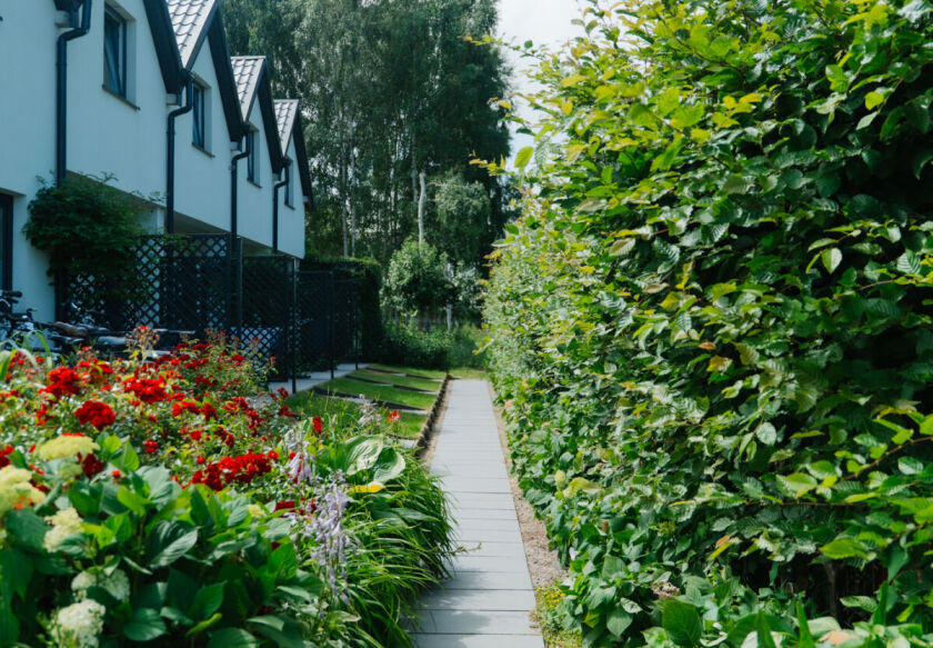 Domki Wierzb&oacute;wka Mielno 32