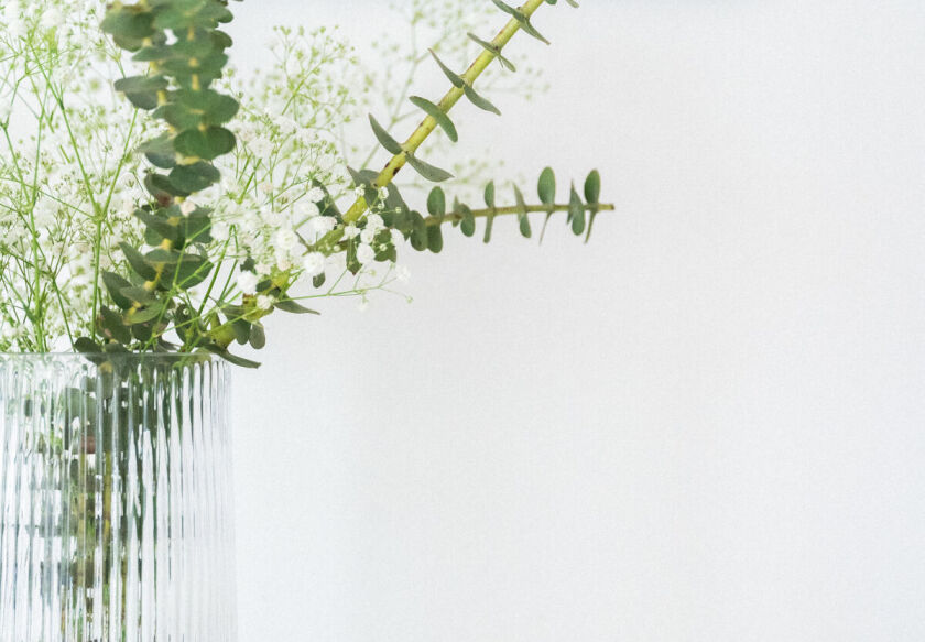 Domki Wierzb&oacute;wka Mielno 18