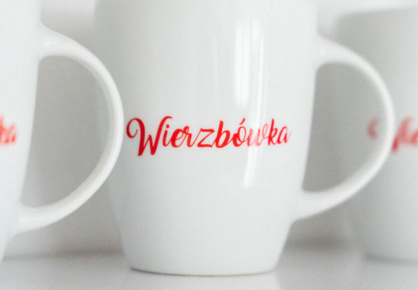 Domki Wierzb&oacute;wka Mielno 19