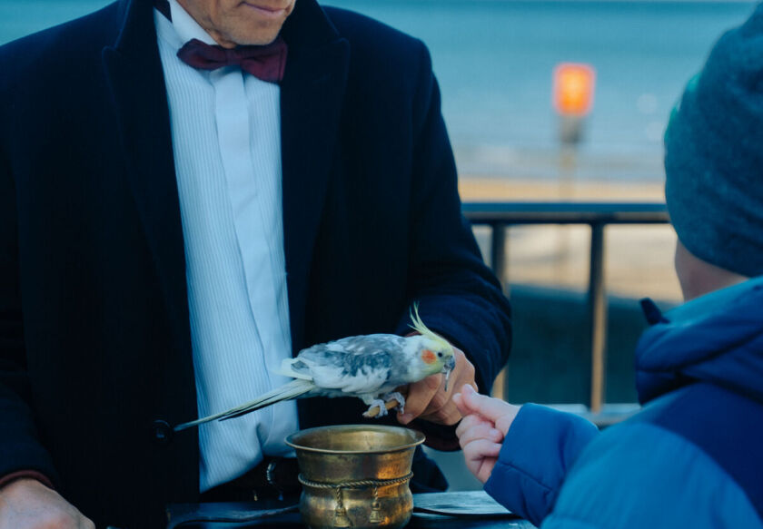 Domki Wierzb&oacute;wka Mielno 59