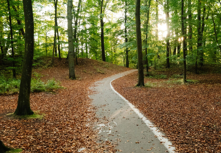 Domki Wierzb&oacute;wka Mielno 62