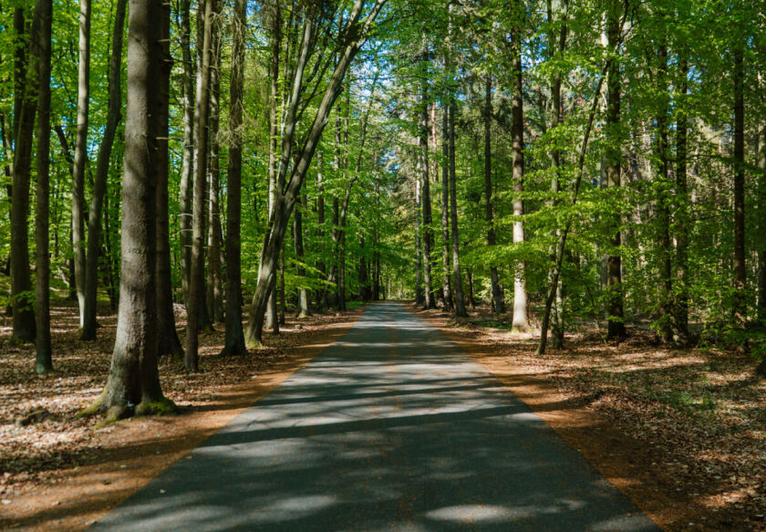 Domki Wierzb&oacute;wka Mielno 53