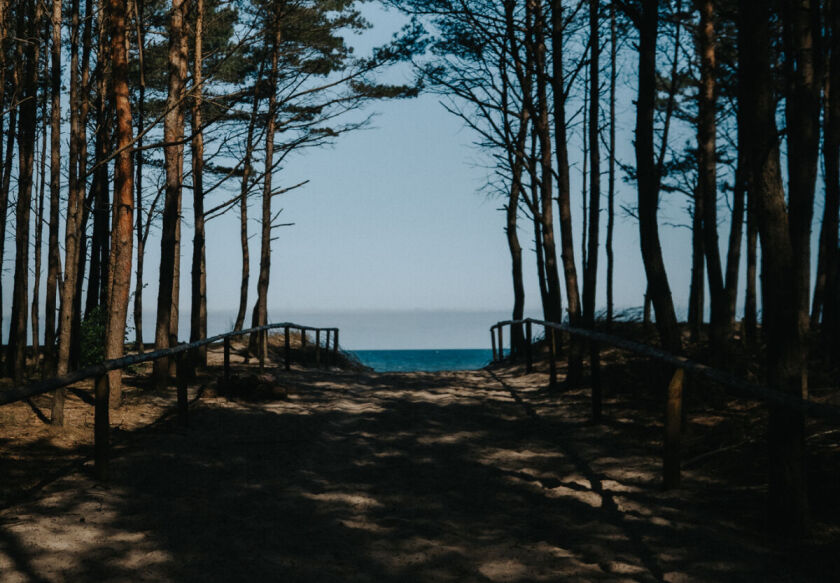 Domki Wierzb&oacute;wka Mielno 63