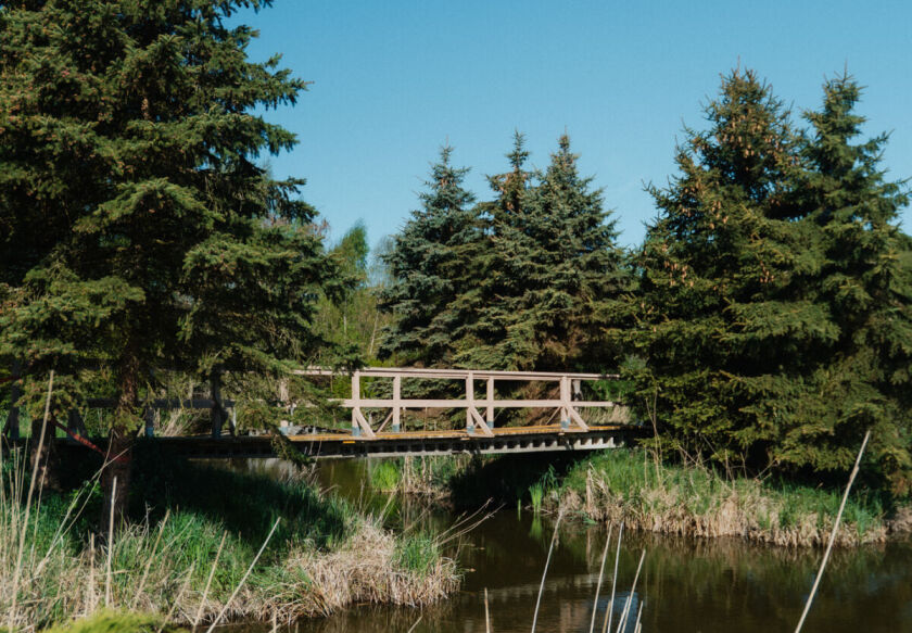 Domki Wierzb&oacute;wka Mielno 66