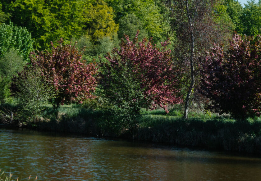 Domki Wierzb&oacute;wka Mielno 67