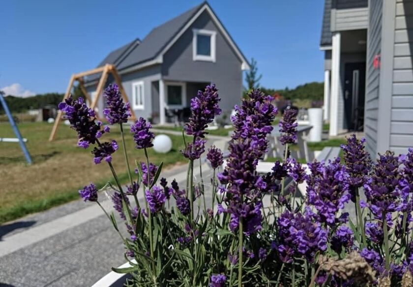 Domki Wypoczynkowe Morskie Opowieści 55