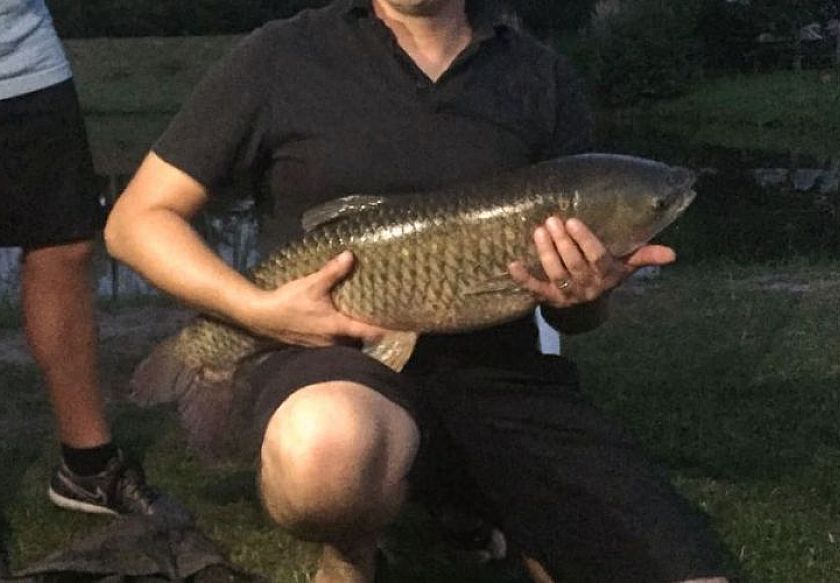 Dworek Jonatan k. Chłop&oacute;w 11