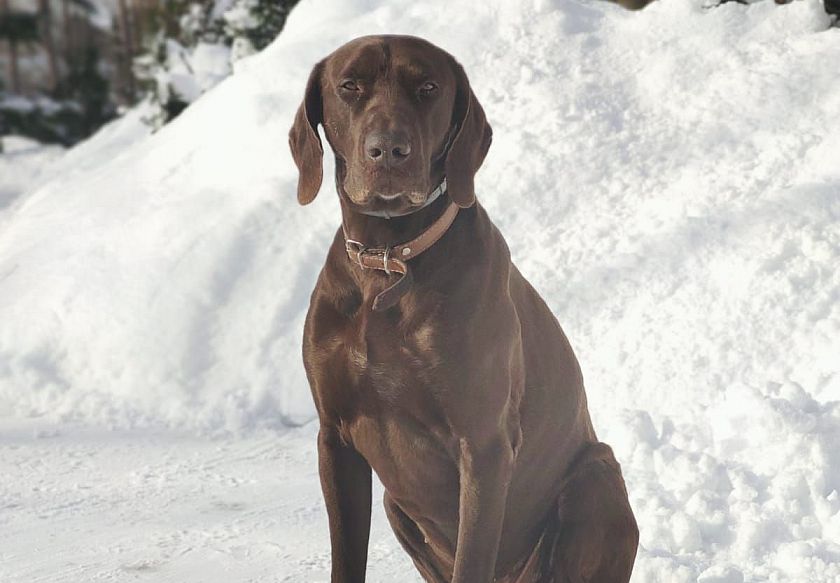 GAJ&Oacute;WKA - całoroczne pokoje i apartamenty 72