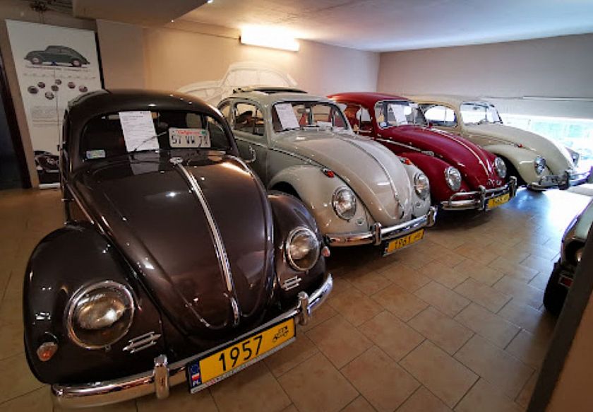 Galeria Pępowo - Muzeum Volkswagena, noclegi 6