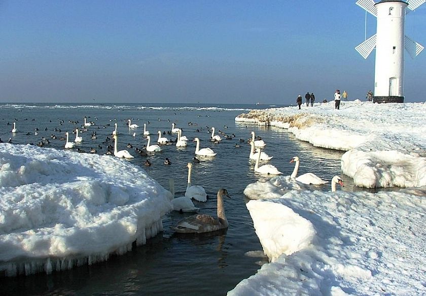 Komfortowe Apartamenty BALTIS 1 POKOJOWY i 2 POKOJOWY 16