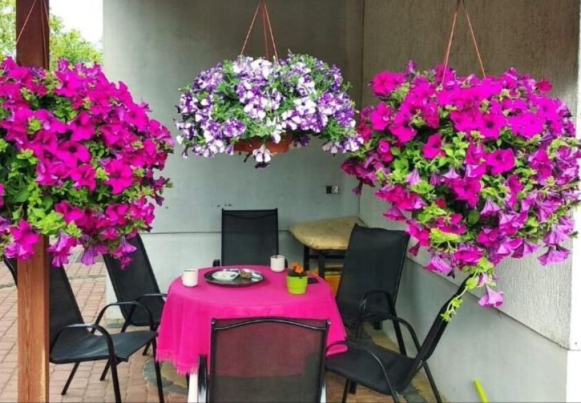 Latarnik - noclegi Sianożęty