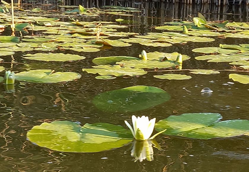Luksusowe dwupoziomowe apartamenty i duże drewniane domki 13
