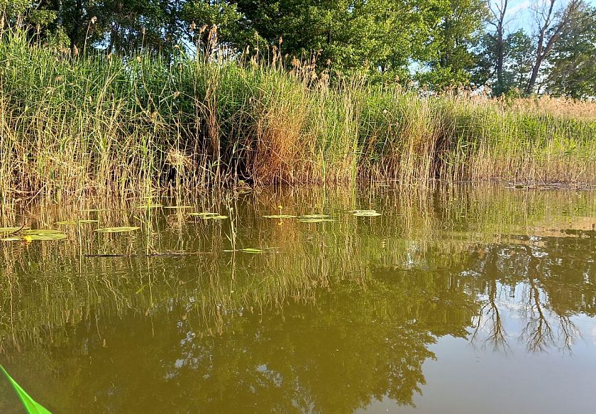 Luksusowe dwupoziomowe apartamenty i duże drewniane domki 31