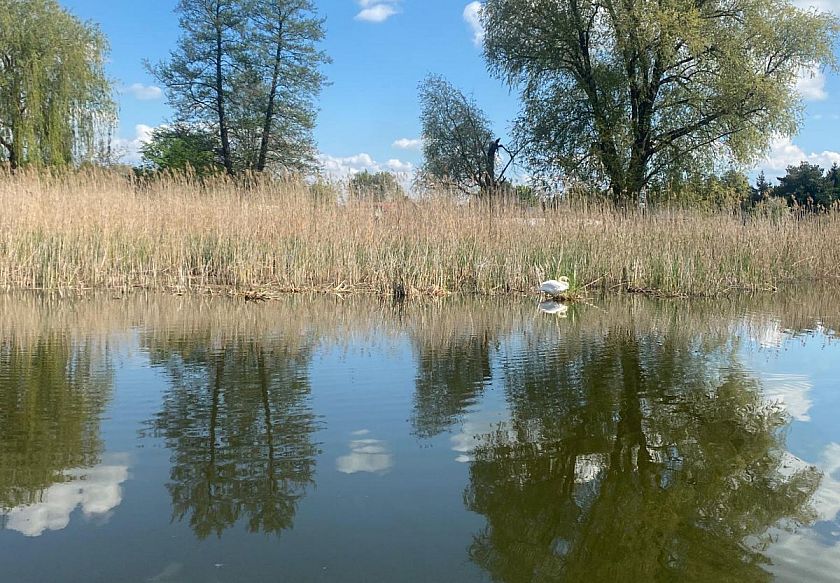 Luksusowe dwupoziomowe apartamenty i duże drewniane domki 33