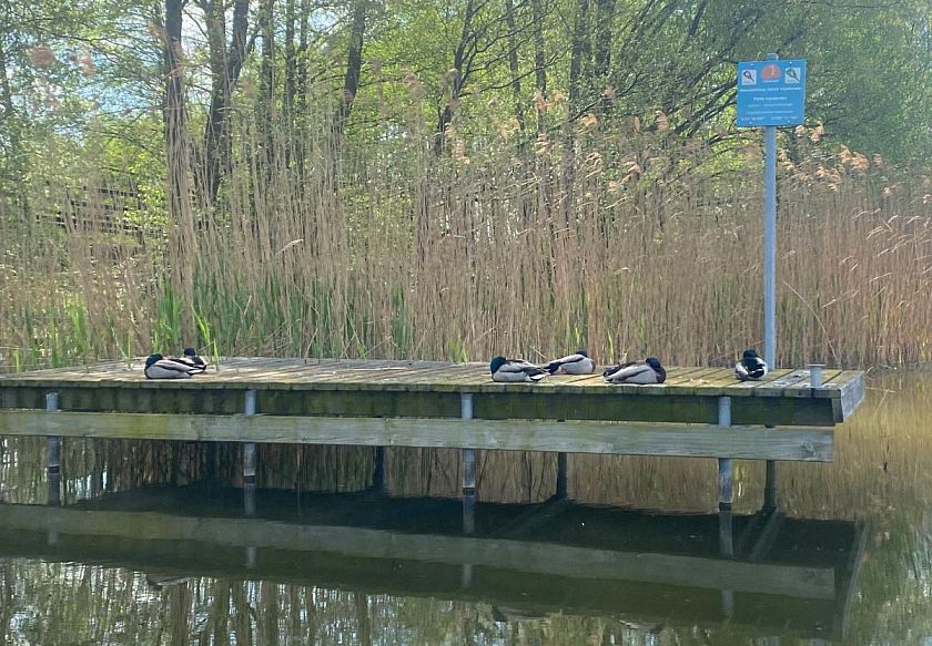 Luksusowe dwupoziomowe apartamenty i duże drewniane domki 35