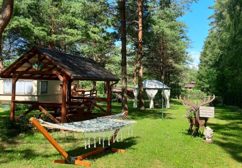 "Między Sosnami a Brzegiem Jeziora" 11