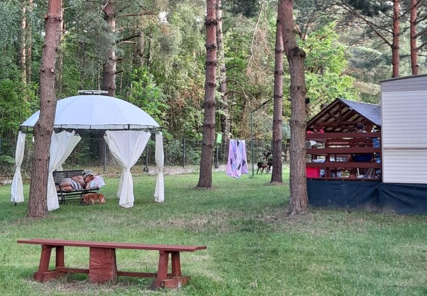 "Między Sosnami a Brzegiem Jeziora" 5