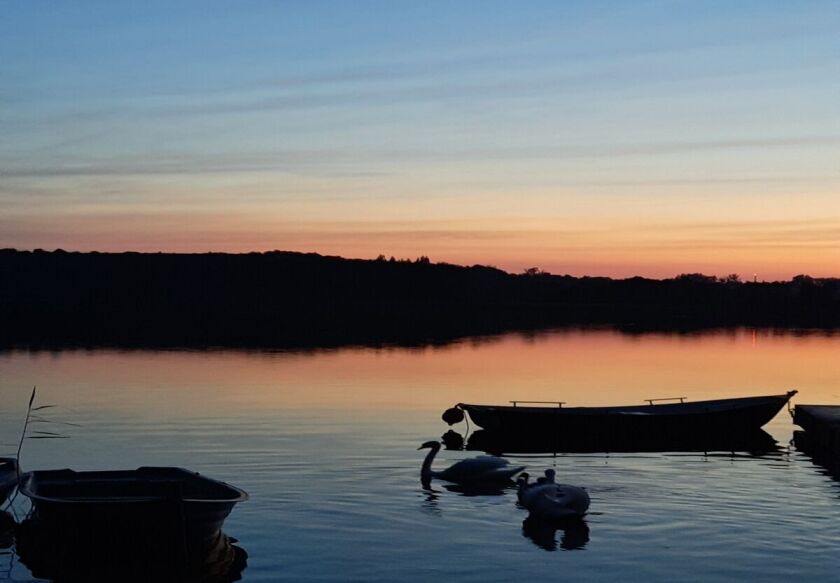 "Między Sosnami a Brzegiem Jeziora" 6