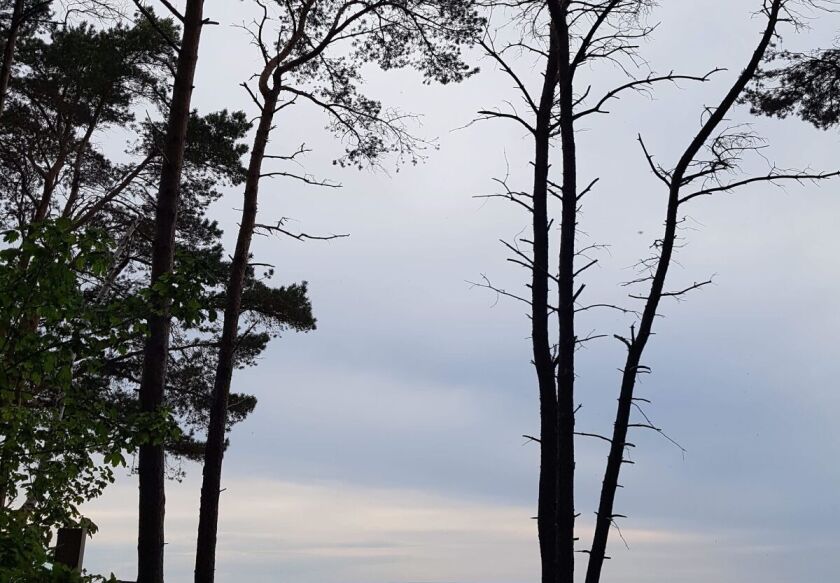 Nasza Chata 300 m od plaży 83