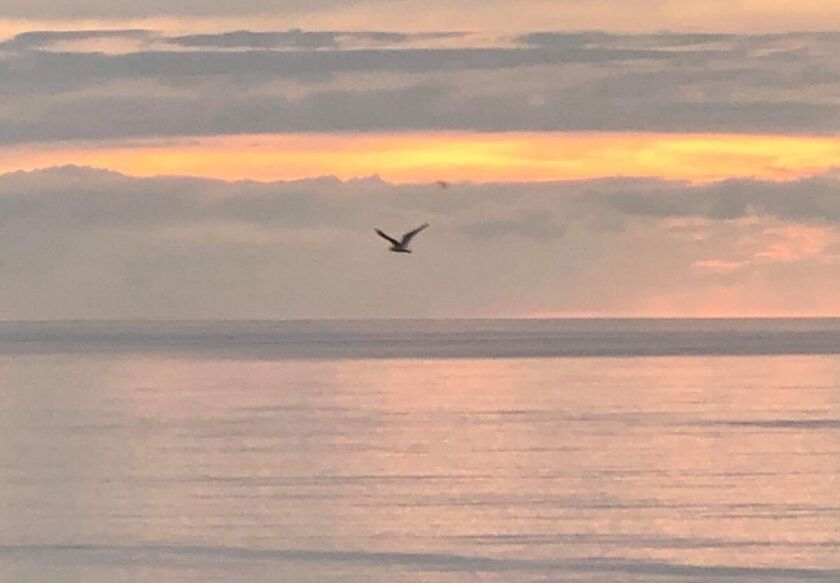 Nasza Chata 300 m od plaży 86