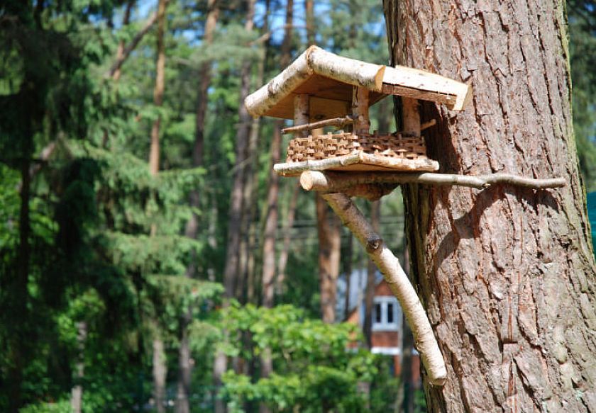 NawaraPARK - NOWE Domki z BALI - POBIEROWO 12