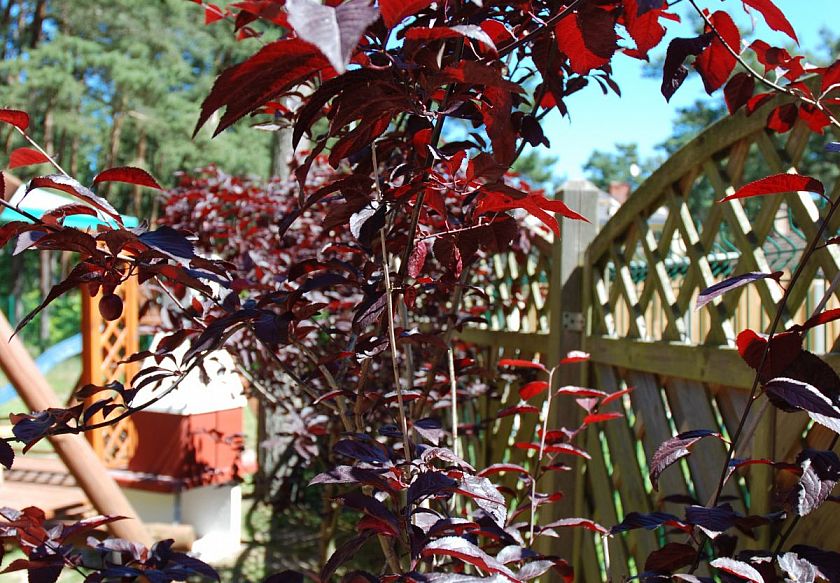 NawaraPARK - NOWE Domki z BALI - POBIEROWO 34