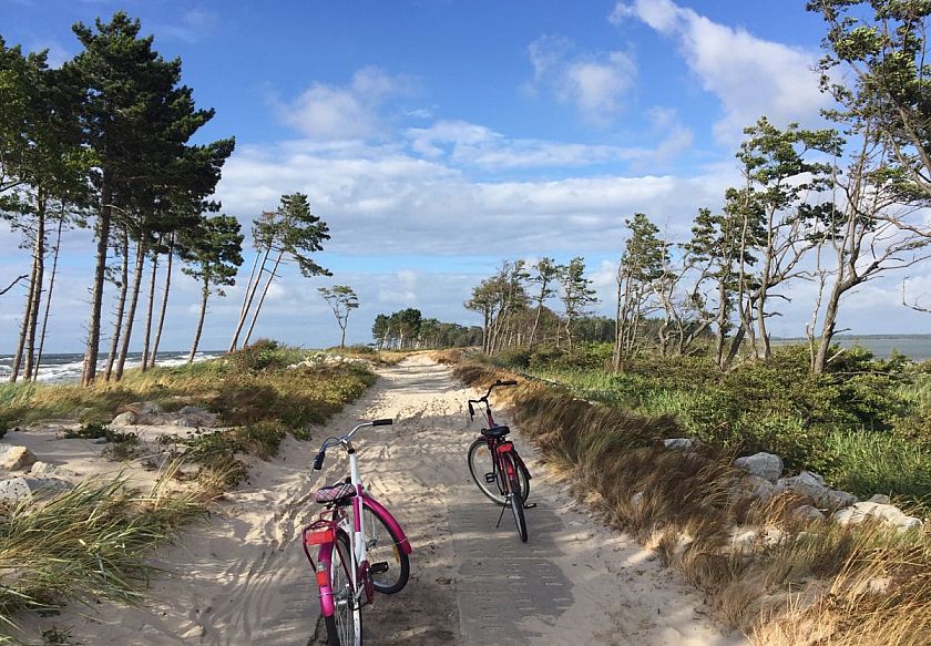 OSADA LEKRANKA - Domki letniskowe 36