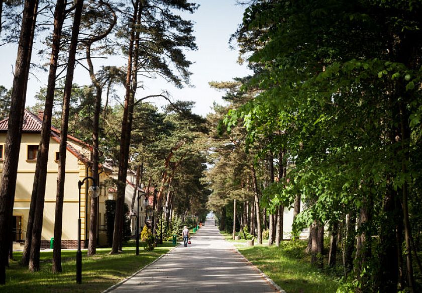 Ośrodek Szkoleniowo- Wypoczynkowy BAŻYNA 13