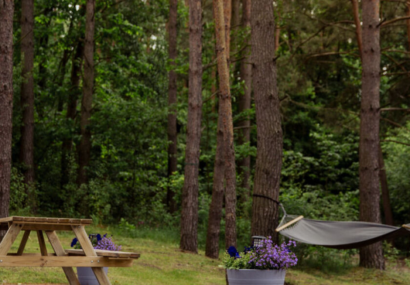 Ośrodek Wypoczynkowy w Świerkocinie 55